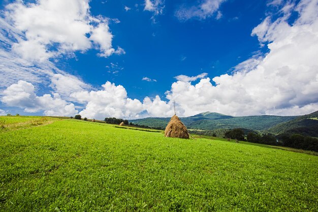 Paesaggio idilliaco in montagna con prati verdi freschi