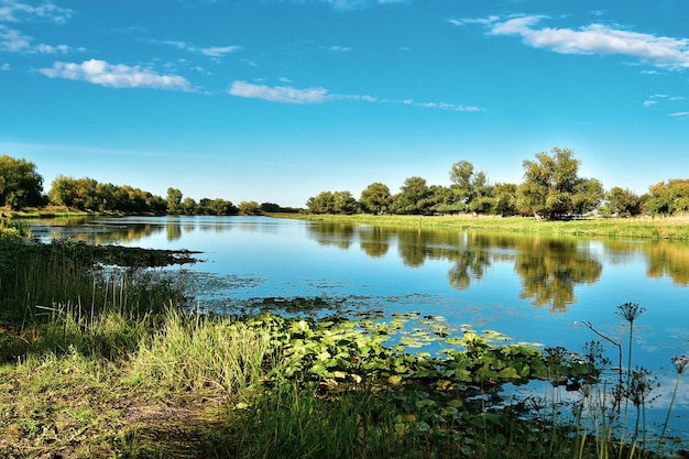 Paesaggio Il fiume contro il cielo blu