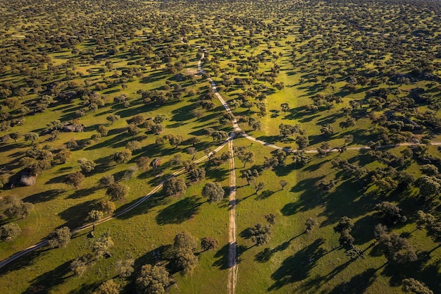 Paesaggio in Dehesa de la Luz Extremadura Spagna