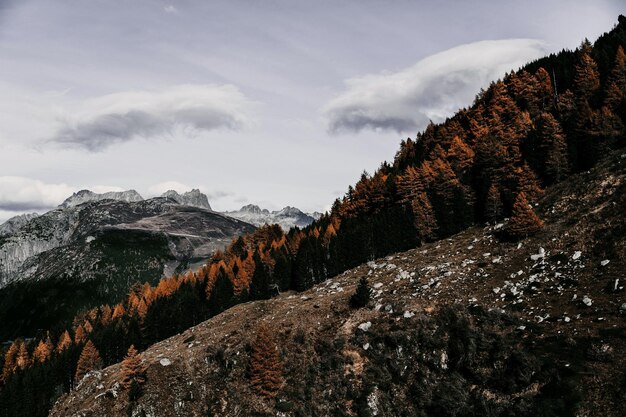 paesaggio in inverno