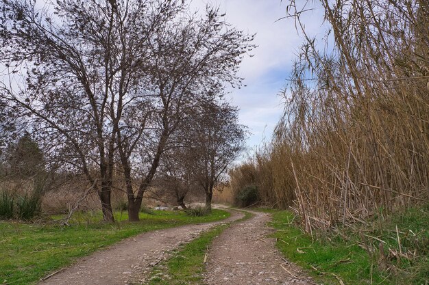 paesaggio in mezzo alla natura