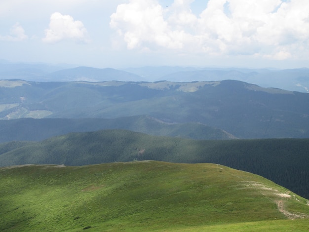 Paesaggio in montagna. Erba verde