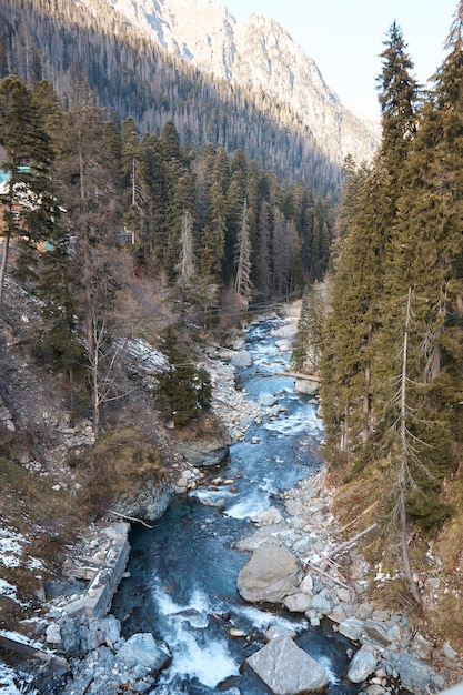 Paesaggio in montagna, fiume e bosco di conifere, autunno, prima neve sui pendii, alberi e arbusti caduti