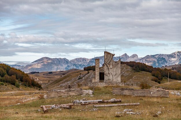 paesaggio in montagna montagne al mattino fauna selvatica paesaggio montano