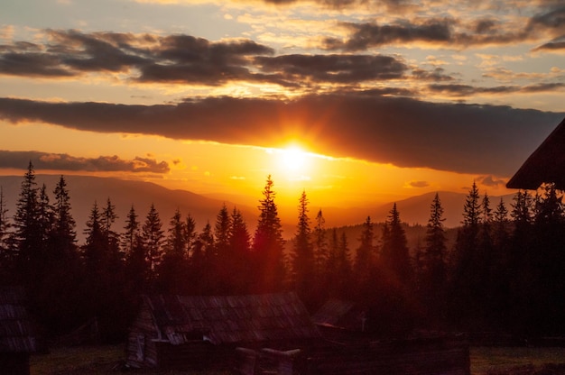 paesaggio in montagna tramonto nella foresta i Carpazi escursioni ricreative nella natura