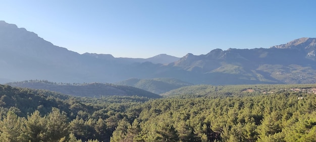 Paesaggio in montagna