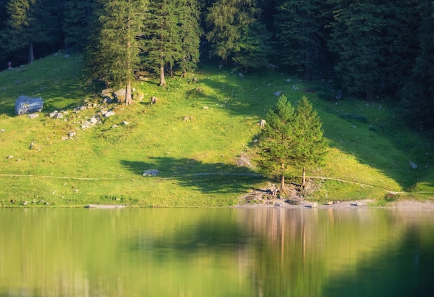 Paesaggio in Svizzera Foresta e lago Riflessione sulla superficie dell'acqua Paesaggio naturale nel periodo estivo Svizzera immagine