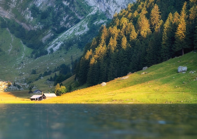 Paesaggio in Svizzera Montagne e lago Riflessione sulla superficie dell'acqua Paesaggio naturale al periodo estivo Svizzera immagine