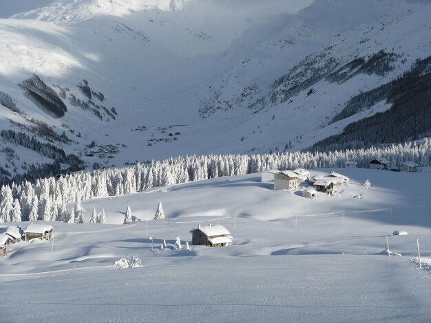 Paesaggio incantato dopo la nevicata