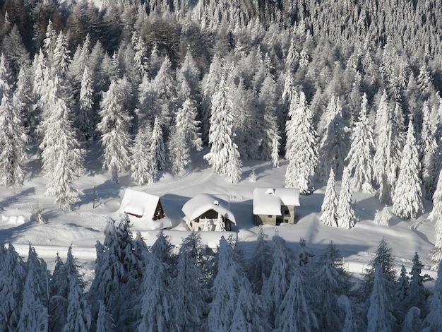 Paesaggio incantato dopo la nevicata