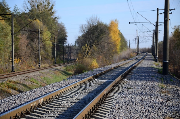 Paesaggio industriale autunnale Ferrovia che retrocede nella distanza fra gli alberi di autunno verdi e gialli