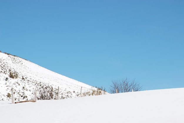 Paesaggio innevato con una recinzione.