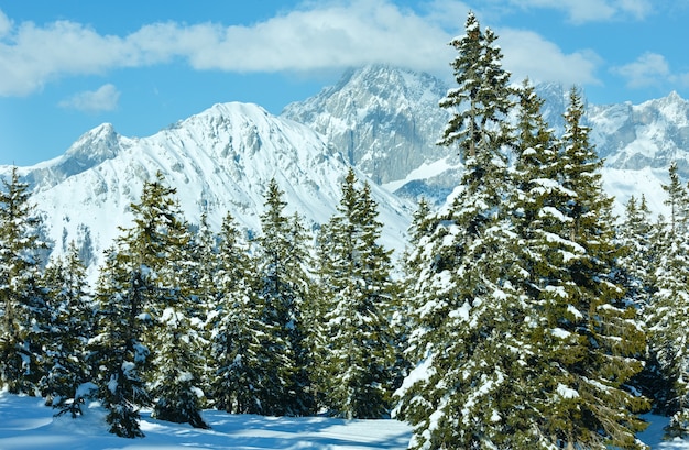 Paesaggio innevato della foresta di abeti di montagna invernale (cima di Papageno bahn - Filzmoos, Austria)