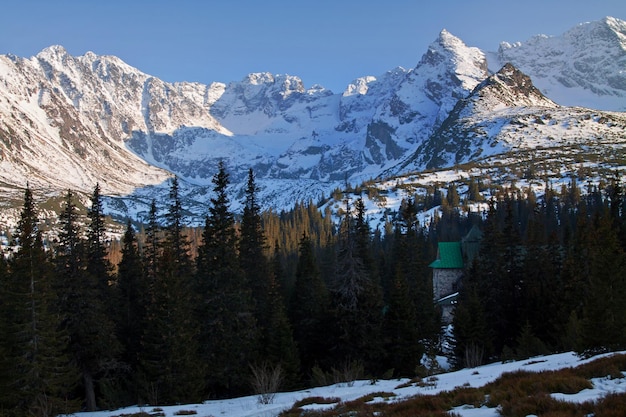 Paesaggio innevato di montagna con alberi di pino