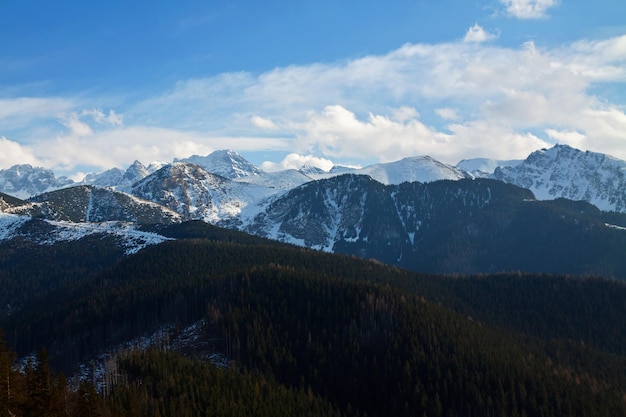 Paesaggio innevato di montagna con foresta