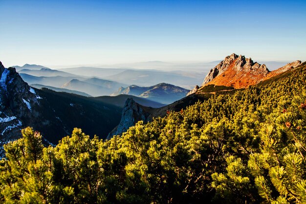 Paesaggio innevato di montagna con rocce