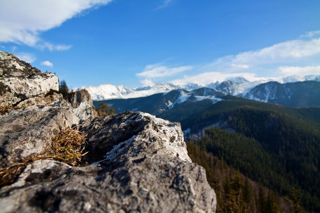 Paesaggio innevato di montagna con roccia