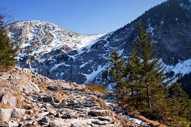 Paesaggio innevato di montagna con sentiero roccioso