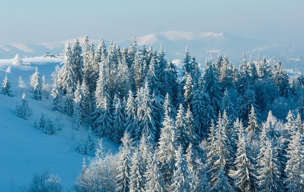 Paesaggio innevato di montagna d'inverno