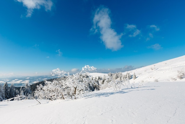 Paesaggio innevato di montagna d'inverno