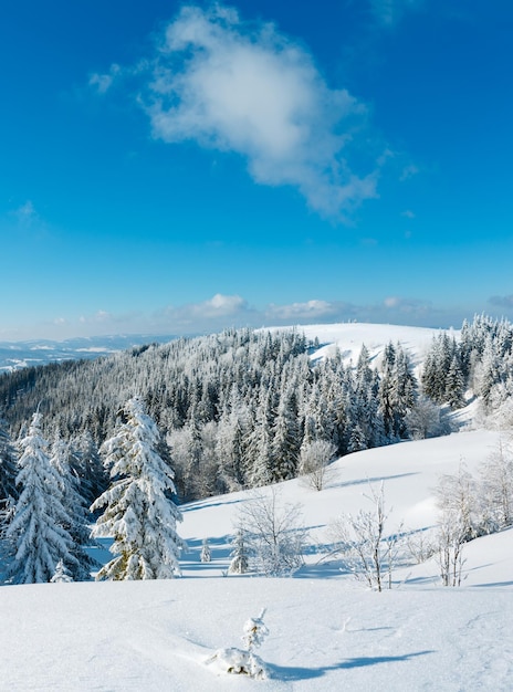 Paesaggio innevato di montagna d'inverno