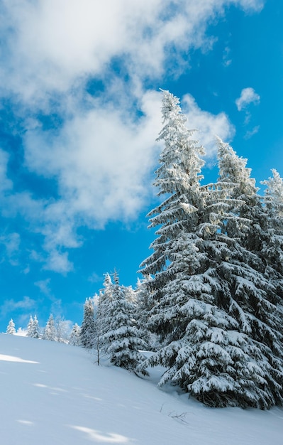 Paesaggio innevato di montagna d'inverno