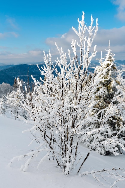 Paesaggio innevato di montagna d'inverno