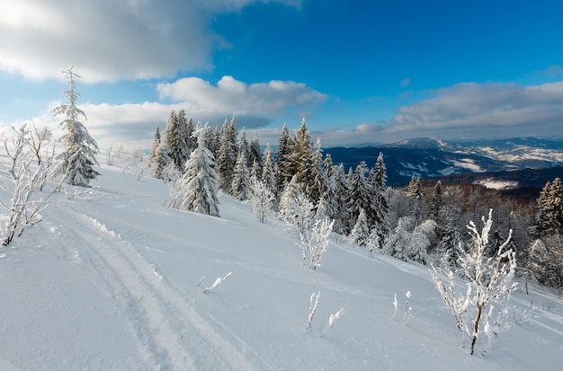 Paesaggio innevato di montagna d'inverno