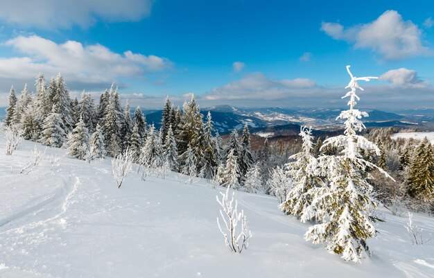 Paesaggio innevato di montagna d'inverno