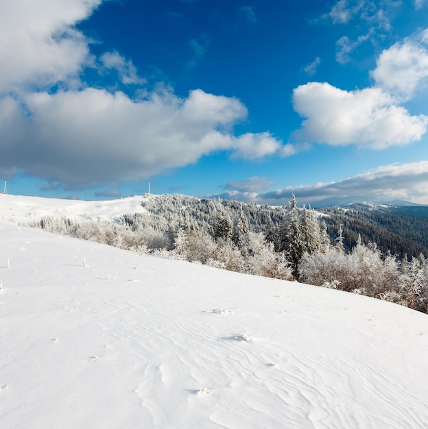 Paesaggio innevato di montagna d'inverno