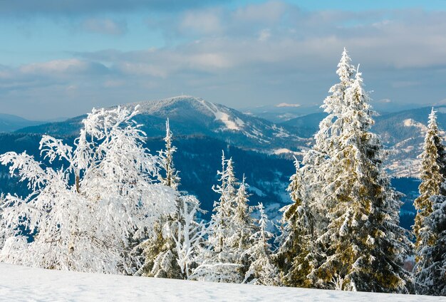 Paesaggio innevato di montagna d'inverno