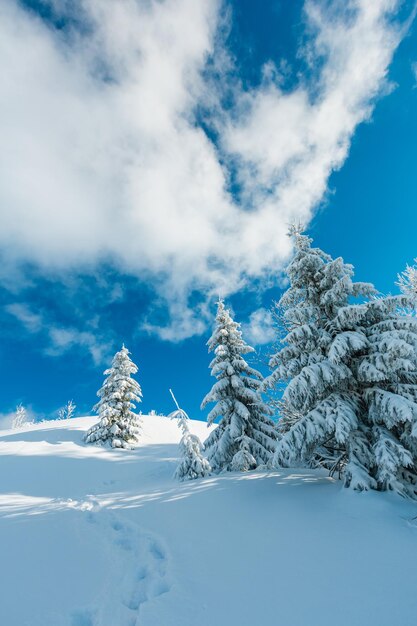 Paesaggio innevato di montagna d'inverno