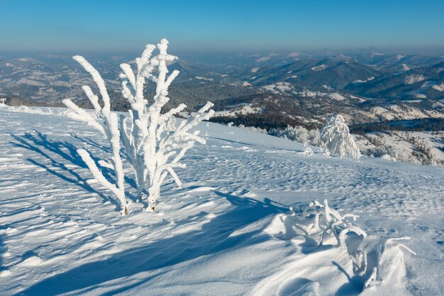 Paesaggio innevato di montagna d'inverno