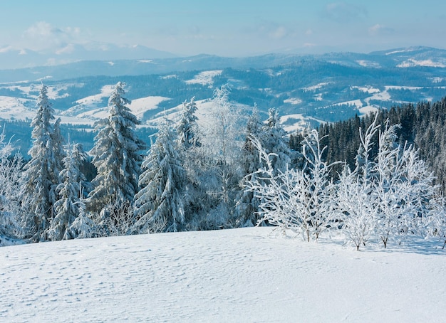 Paesaggio innevato di montagna d'inverno