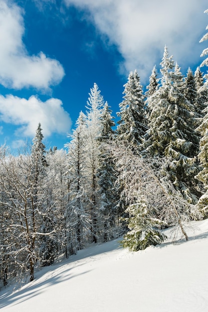 Paesaggio innevato di montagna d'inverno