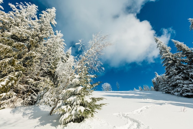 Paesaggio innevato di montagna d'inverno