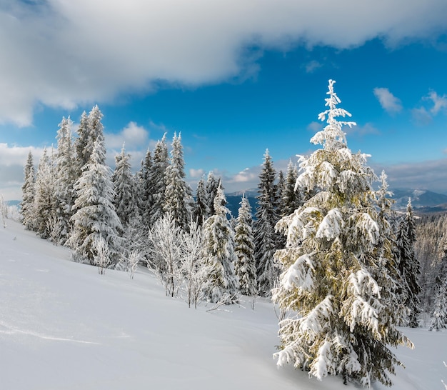 Paesaggio innevato di montagna d'inverno