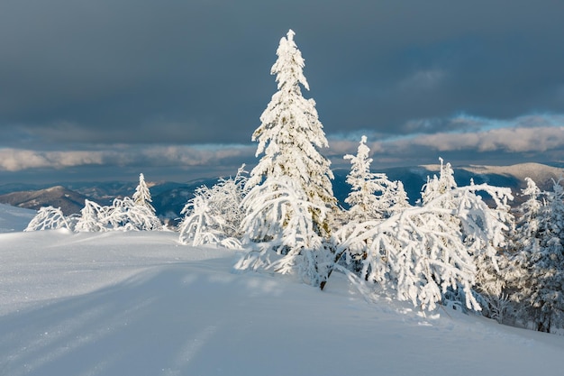 Paesaggio innevato di montagna di sera d'inverno