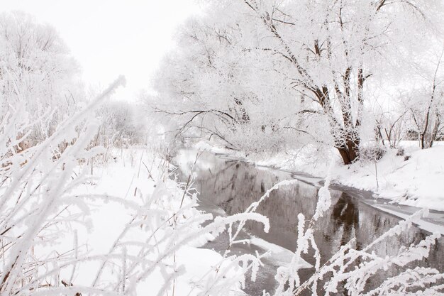 Paesaggio innevato di spazi aperti vicino al tempo nevoso del fiume