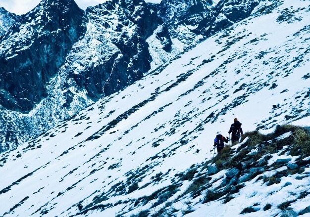 Paesaggio innevato invernale di montagna