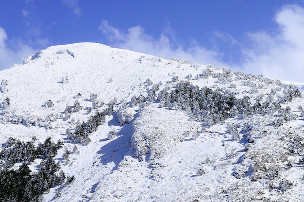 Paesaggio innevato nel Parco Naturale della Sierra de Baza - Granada