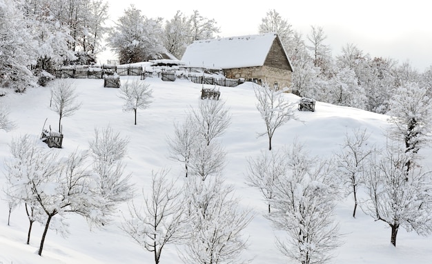 paesaggio innevato