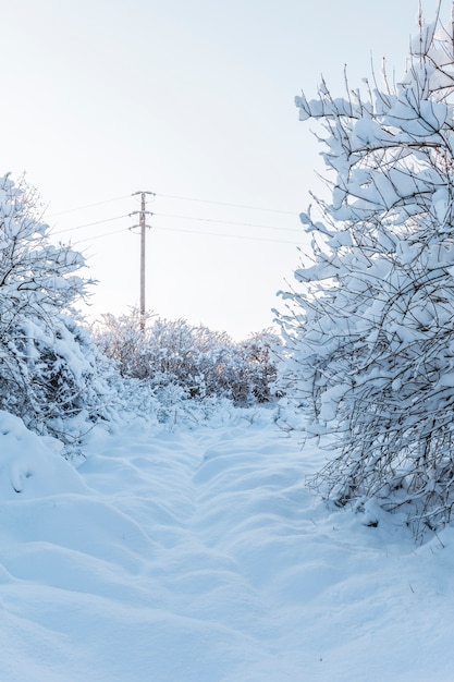 Paesaggio innevato