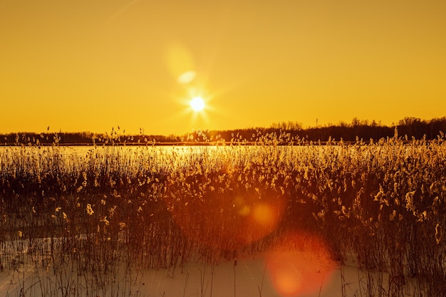 Paesaggio invernale al tramonto con campo innevato e bagliore luminoso dall'erba del sole ricoperta di brina