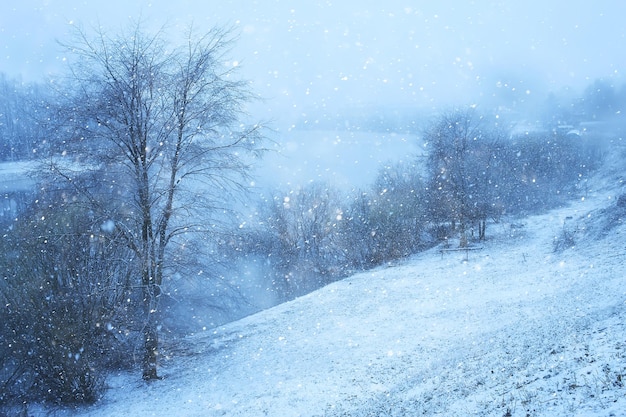 paesaggio invernale alberi ricoperti di brina