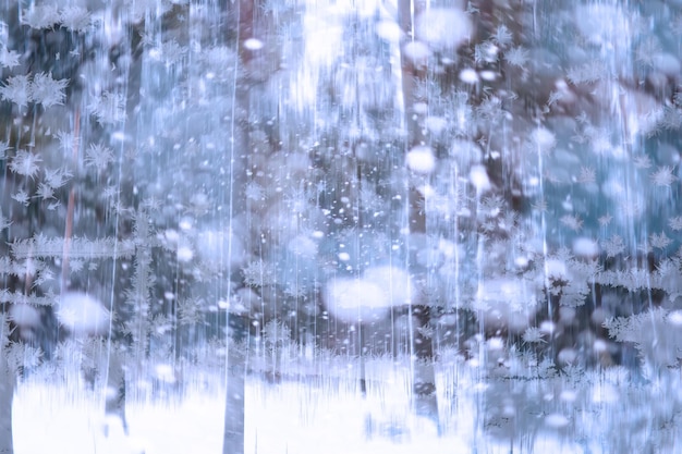 Paesaggio invernale attraverso una finestra congelata Sfondo di neve offuscata Alberi e piante ricoperte di neve