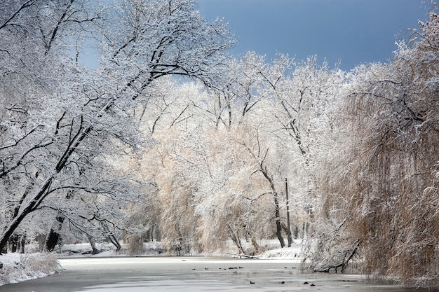 Paesaggio invernale bianco con neve fresca su stagno ghiacciato e alberi sul lago