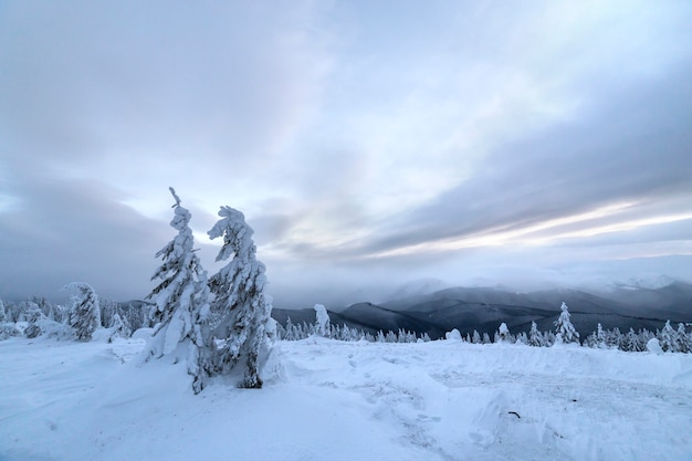 Paesaggio invernale blu