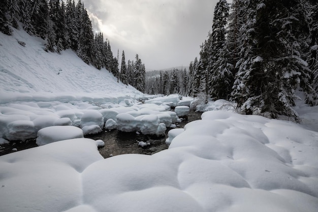 Paesaggio invernale canadese nella valle di montagna durante una giornata nuvolosa