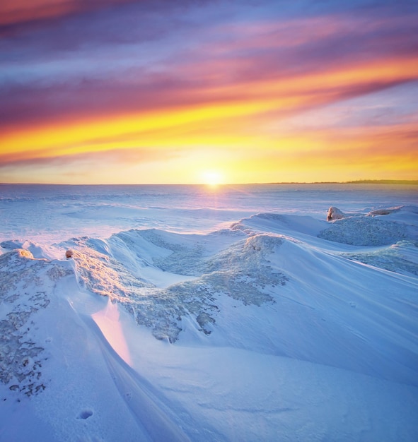 Paesaggio invernale. Composizione della natura.